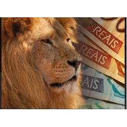 Receita adia o prazo de entrega da declaração de Imposto de Renda